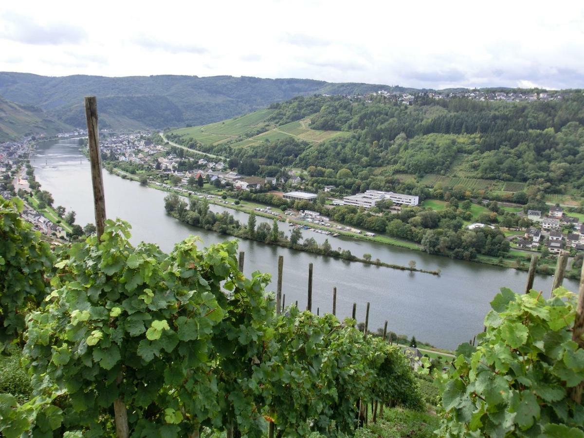 Apartmán Beim Winzer Zell an der Mosel Exteriér fotografie